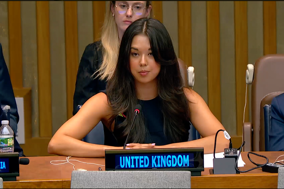 Imagem relacionada à notícia: A desinformação está sendo armada contra todos nós: Declaração do Reino Unido no Quarto Comitê da ONU
