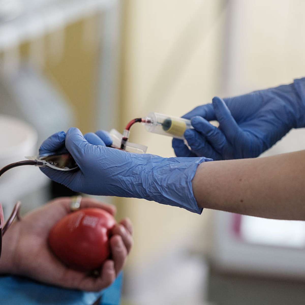 Testemunhas de Jeová flexibilizam regras sobre doação de sangue; entenda