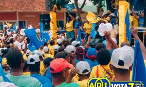 Eleições gerais : Organização Internacional da Francofonia observa o escrutínio de domingo