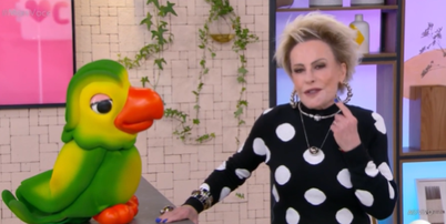 Ana Maria Braga no 'Mais Voc&ecirc;' Foto: Reprodu&ccedil;&atilde;o/TV Globo