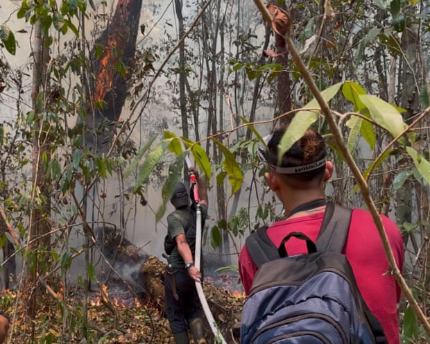 Incêndios florestais na Indonésia ameaçam o principal local de pesquisa de orangotãs no Bornéu