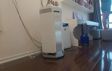 Por que muitas pessoas despejam vinagre na privada? O que acontece após 30 minutos deixa muitas pessoas surpresas