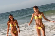 Desfile da Sun Rose acontece em 16/9