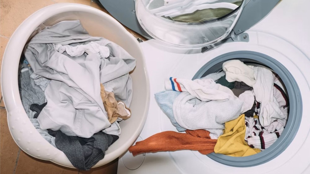 Sujeiras mais pesadas pedem maior nível de água para completar o ciclo — Foto: Reprodução/Elena Helade no Unsplash