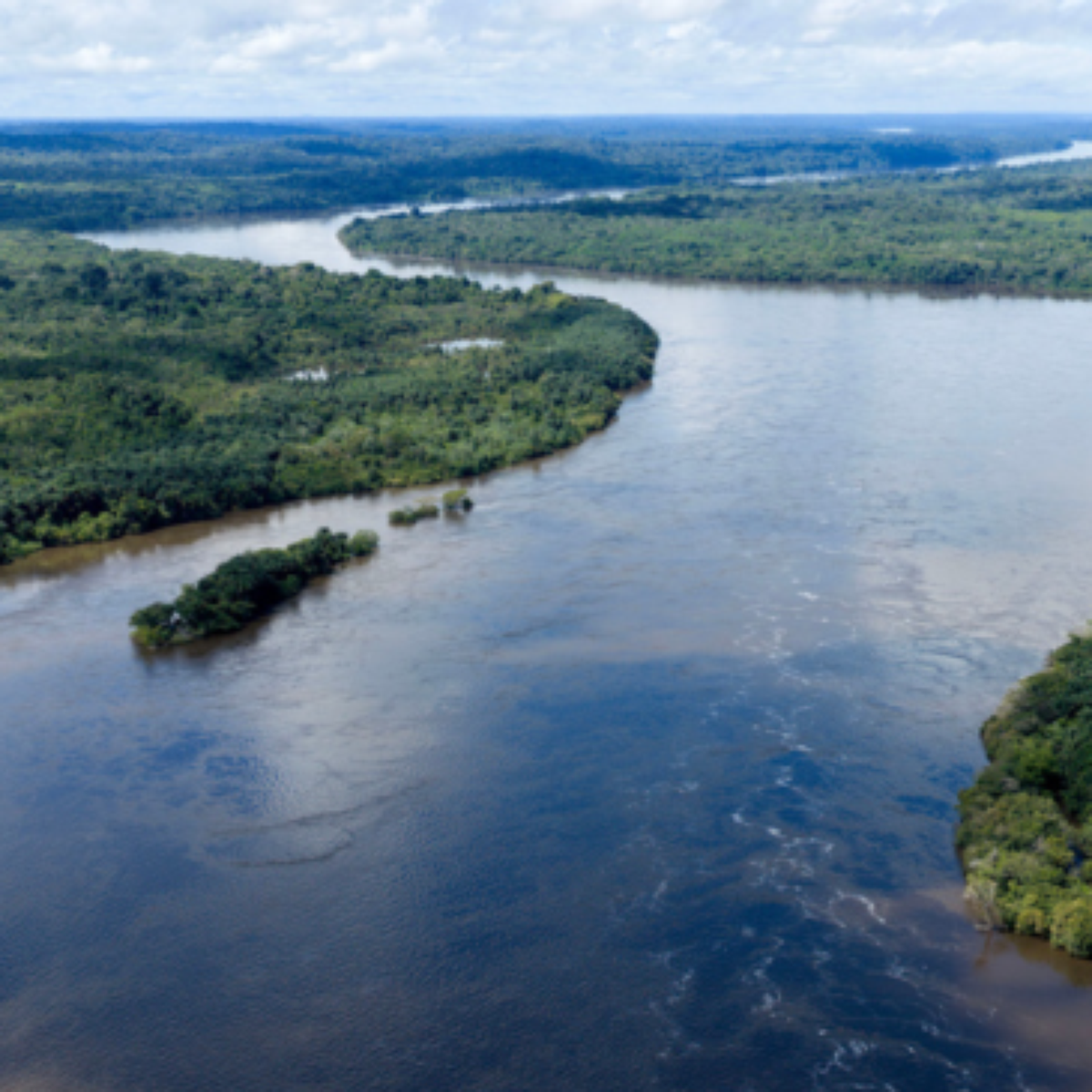 Combate às queimadas e pagamento por serviços: quais as propostas dos candidatos a presidente para o meio ambiente