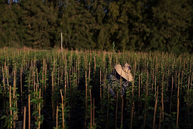 As sanções atingiram apenas 27,5% das infrações por agrotóxicos detectadas na Califórnia