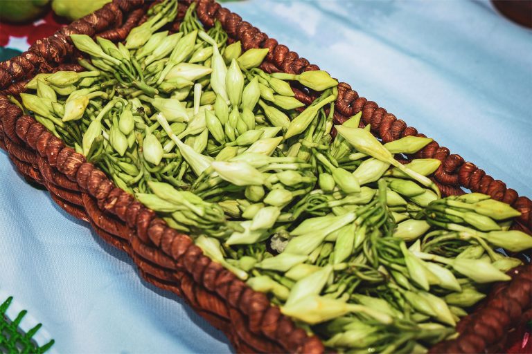 Festival del Loroco: uma convite para descobrir San Lorenzo