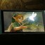 Imagem da matéria: Super Mario e mais: 7 jogos do Nintendo 64 que também mereciam remakes