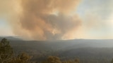 Emitido alerta de emergência para incêndio florestal em South Burnett, com residências em risco