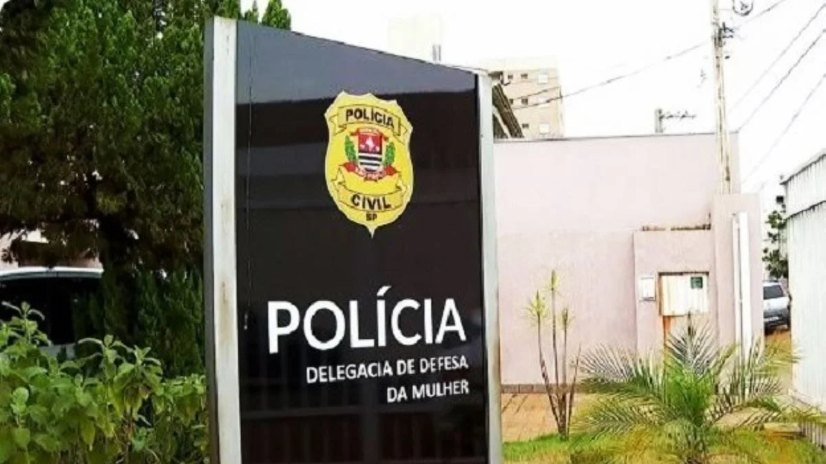 Mais de 500 municípios de SP não têm Delegacia de Defesa da Mulher
