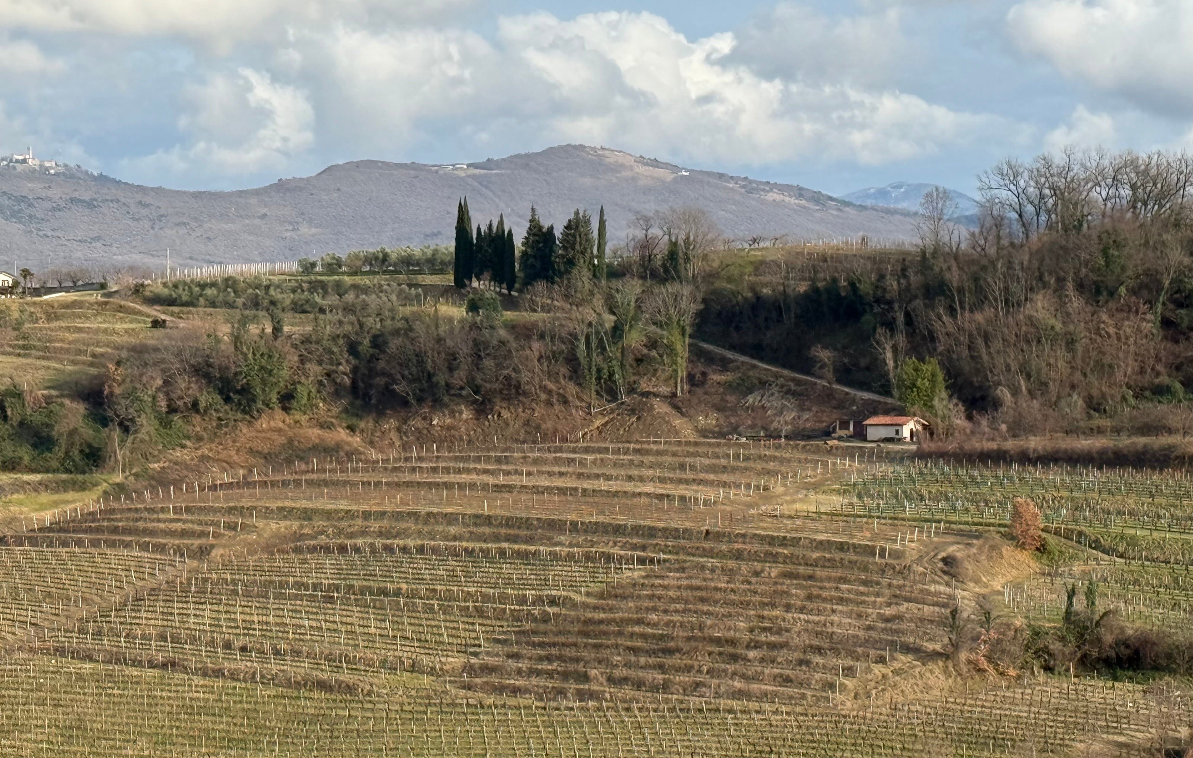 Vinhos dos Bálcãs: rótulos ainda pouco conhecidos no Brasil ganham destaque internacional