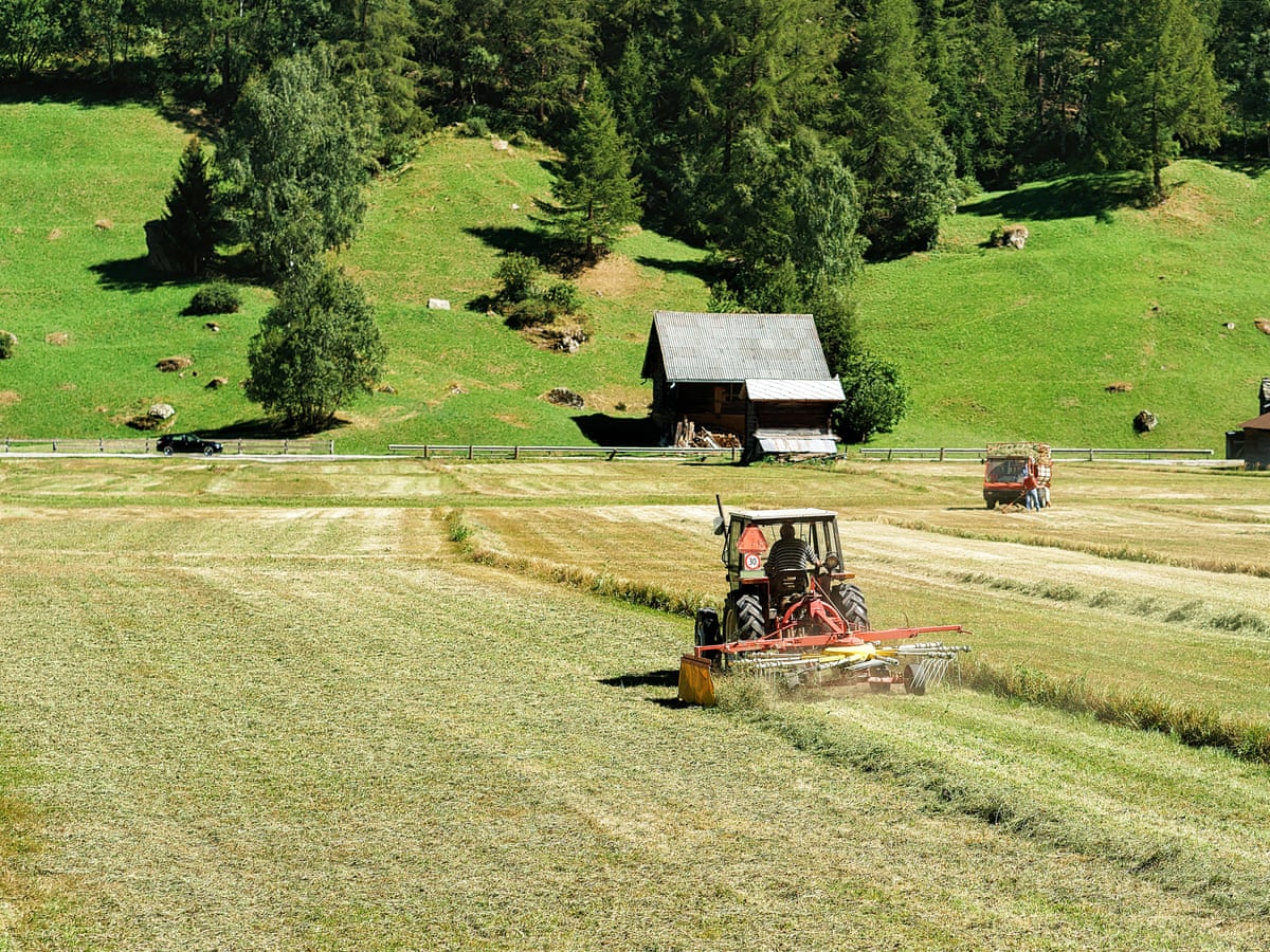 Os microplásticos no solo representam uma ameaça global ao atuarem como um 'cavalo de Tróia' para entregar toxinas.