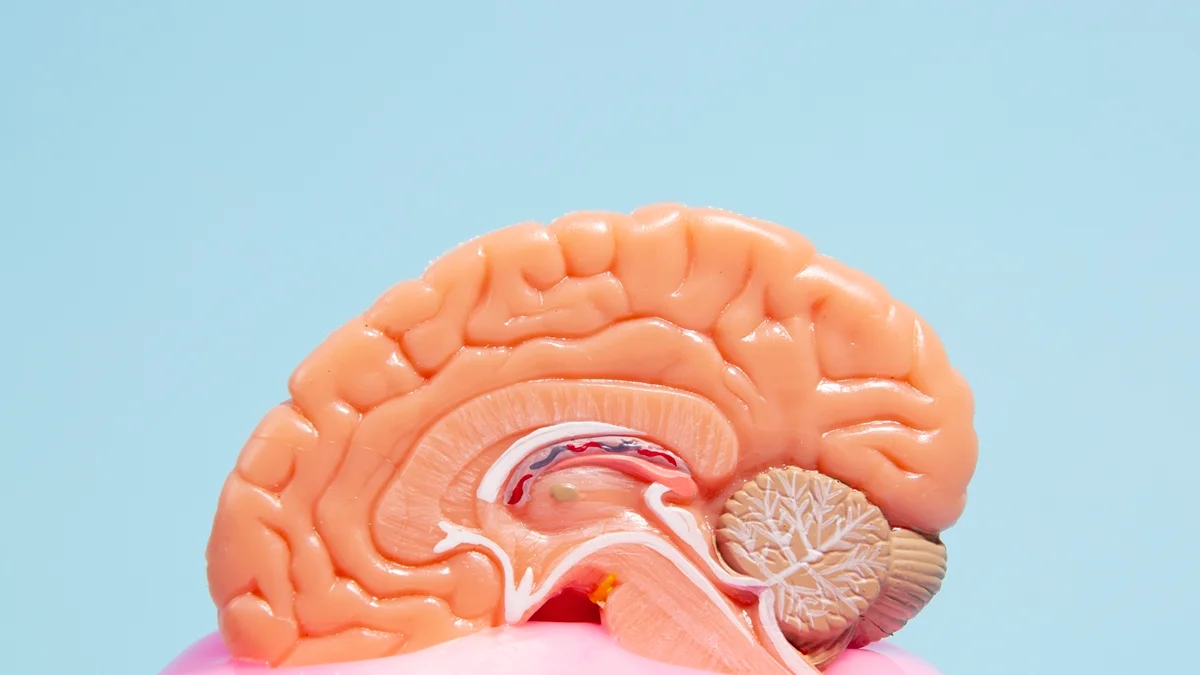 Estimulação cognitiva pode retardar perda de funções no Alzheimer