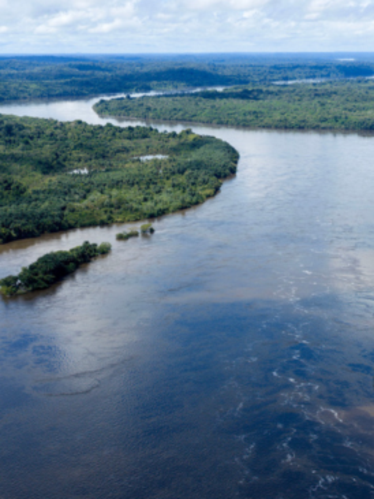 Combate às queimadas e pagamento por serviços: quais as propostas dos candidatos a presidente para o meio ambiente