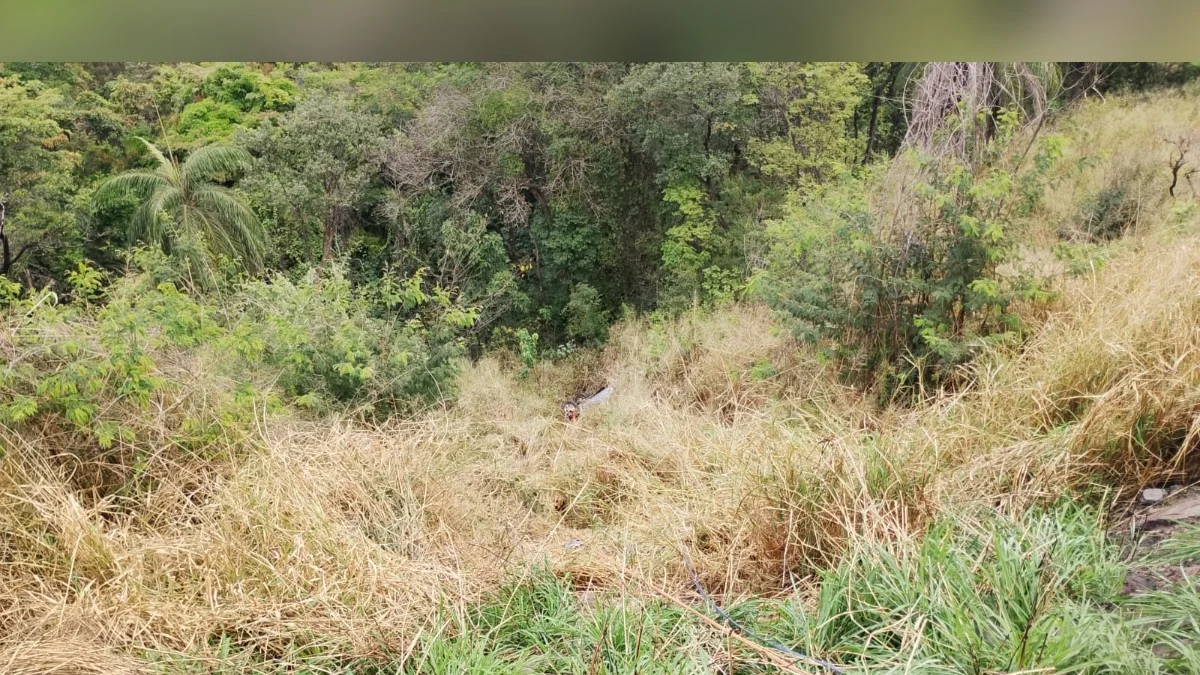 MG: caminhonete capota e cai em ribanceira de 60 metros na BR-381