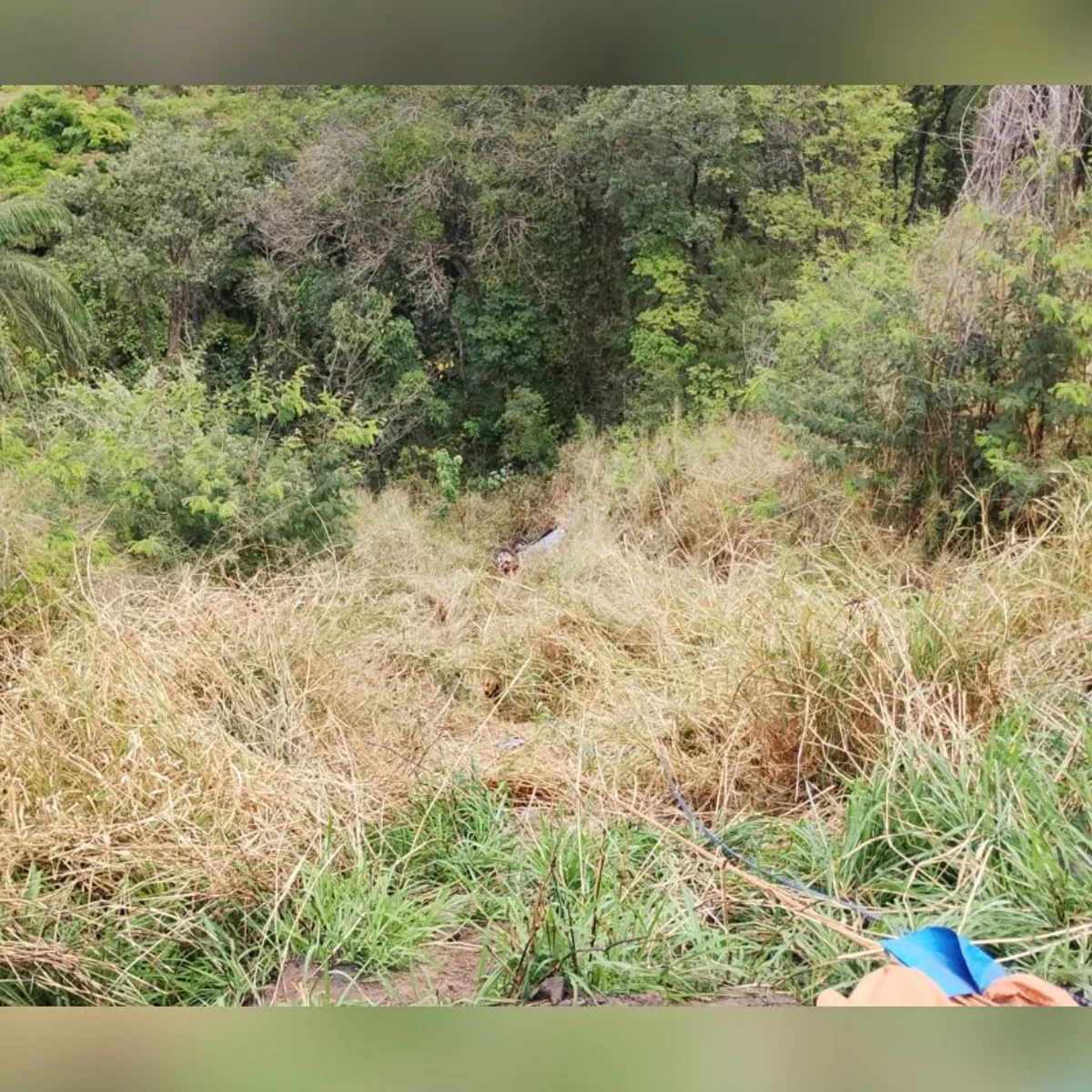 MG: caminhonete capota e cai em ribanceira de 60 metros na BR-381