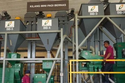 Galeri Bernas membawa orang ramai melihat perpsektif lebih besar tentang keterjaminan makanan negara - FOTO: FB Padiberas Nasional Berhad.