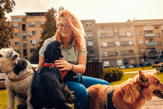 O que é preciso para ser passeador de cães? Veja como trabalhar como dog walker com segurança e profissionalismo