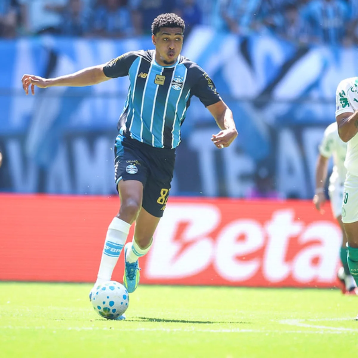 Brasileirão: Weverton brilha e Grêmio segura empate contra o Palmeiras