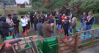 Colegas de trabalho! Saiba quem são os peões de A Fazenda 18 que já fizeram a mesma novela