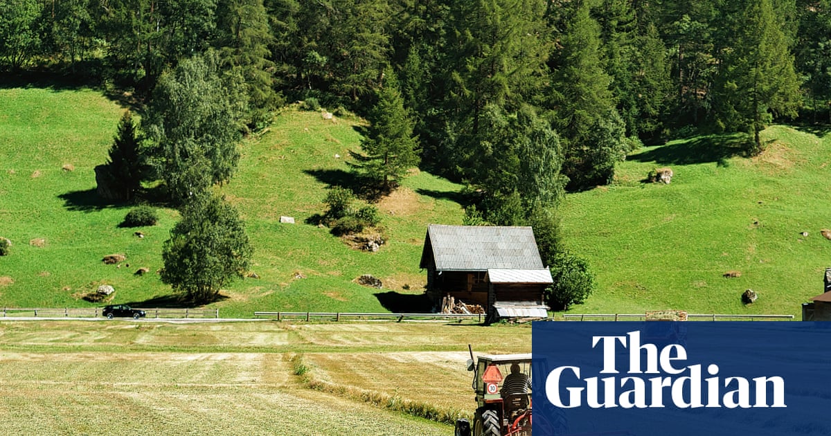 Os microplásticos no solo representam uma ameaça global ao atuarem como um 'cavalo de Tróia' para entregar toxinas.