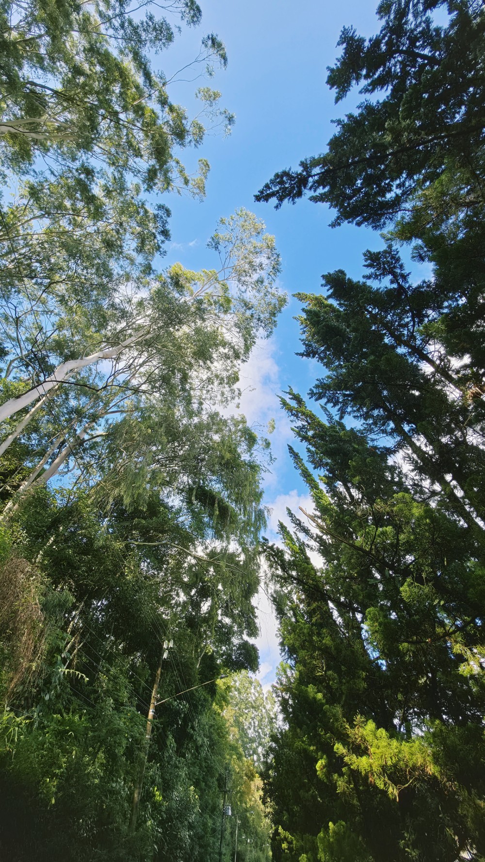 Os 5 melhores celulares topo de linha testados pelo TechTudo até agora