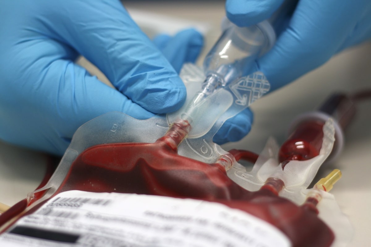 Testemunhas de Jeová adotam nova regra para recebimento e doação de sangue