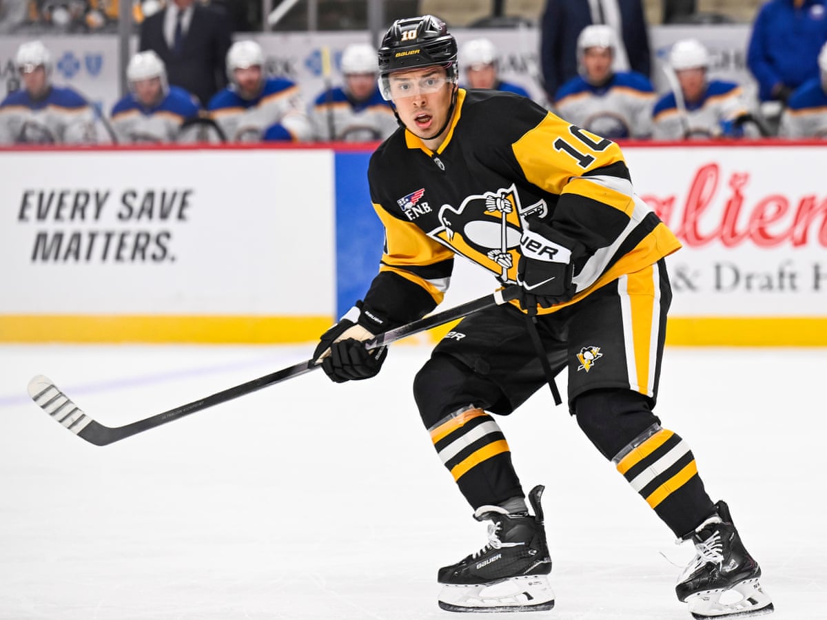 O jogador Andrei Kuzmenko da NHL se afasta do time após o pai ser morto em um ataque de urso na Sibéria.