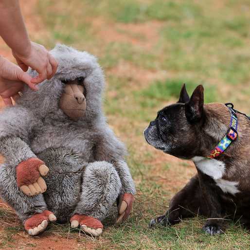 The week in photos: September 12-18, 2026