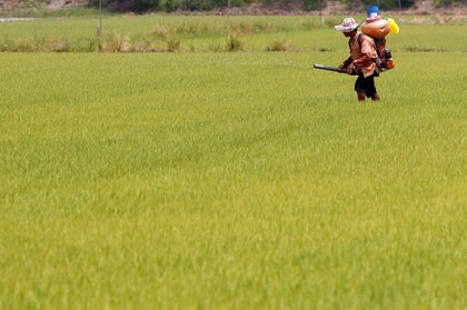 As sanções atingiram apenas 27,5% das infrações por agrotóxicos detectadas na Califórnia