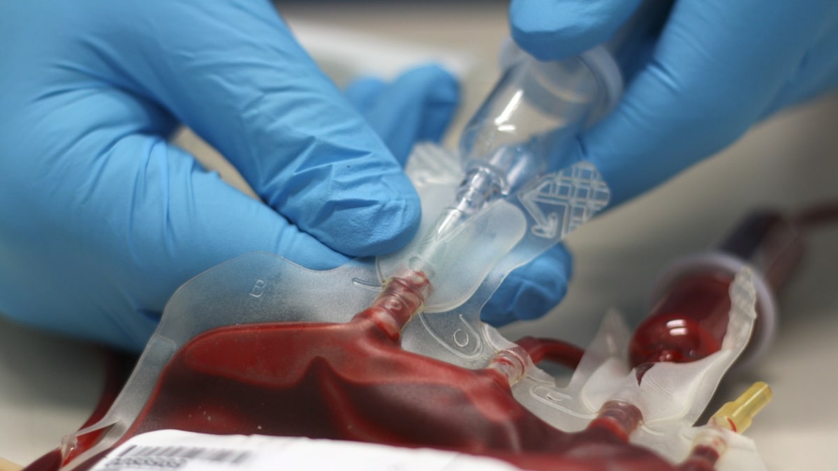 Testemunhas de Jeová adotam nova regra para recebimento e doação de sangue