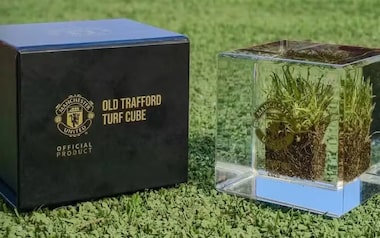 Manchester United registra rombo de R$ 477,6 milhões e vende grama de Old Trafford por R$ 850