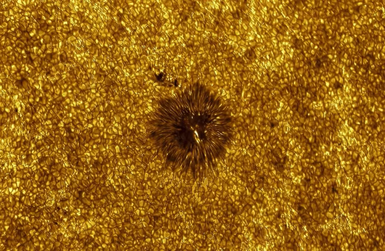 “Tubarão cósmico” vence concurso de melhor foto de astronomia de 2026; veja a imagem