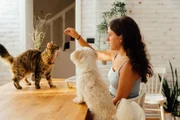 Convívio com peixe, coelho e outros pets ajuda na saúde mental de crianças