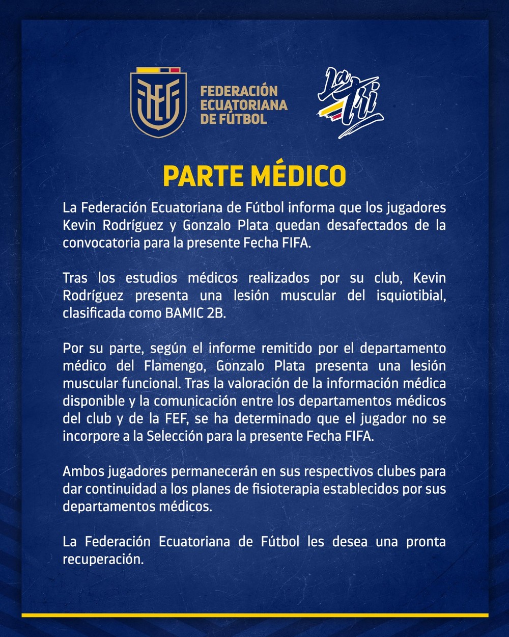 Comunicado oficial da seleção o Equador sobre o corte de Gonzalo Plata — Foto: Reprodução / X
