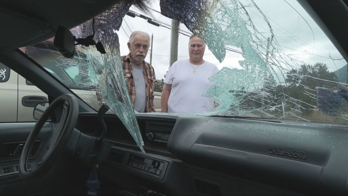 Elk crashes through windshield of 38-year-old car on Vancouver Island