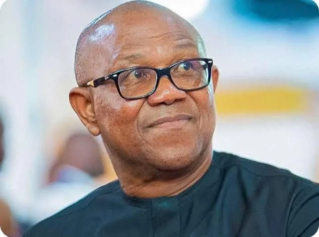The presidential candidate of the Labour Party in the 2023 general election and a leading opposition figure ahead of the 2027 presidential election, Peter Obi.