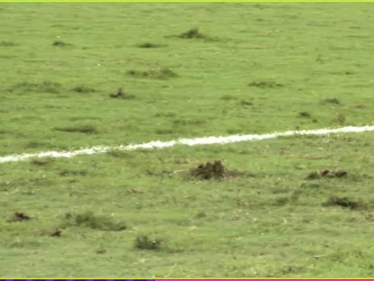 Gramado ruim em amistoso da Seleção gera reação de brasileiros nas redes: 'Pasto'