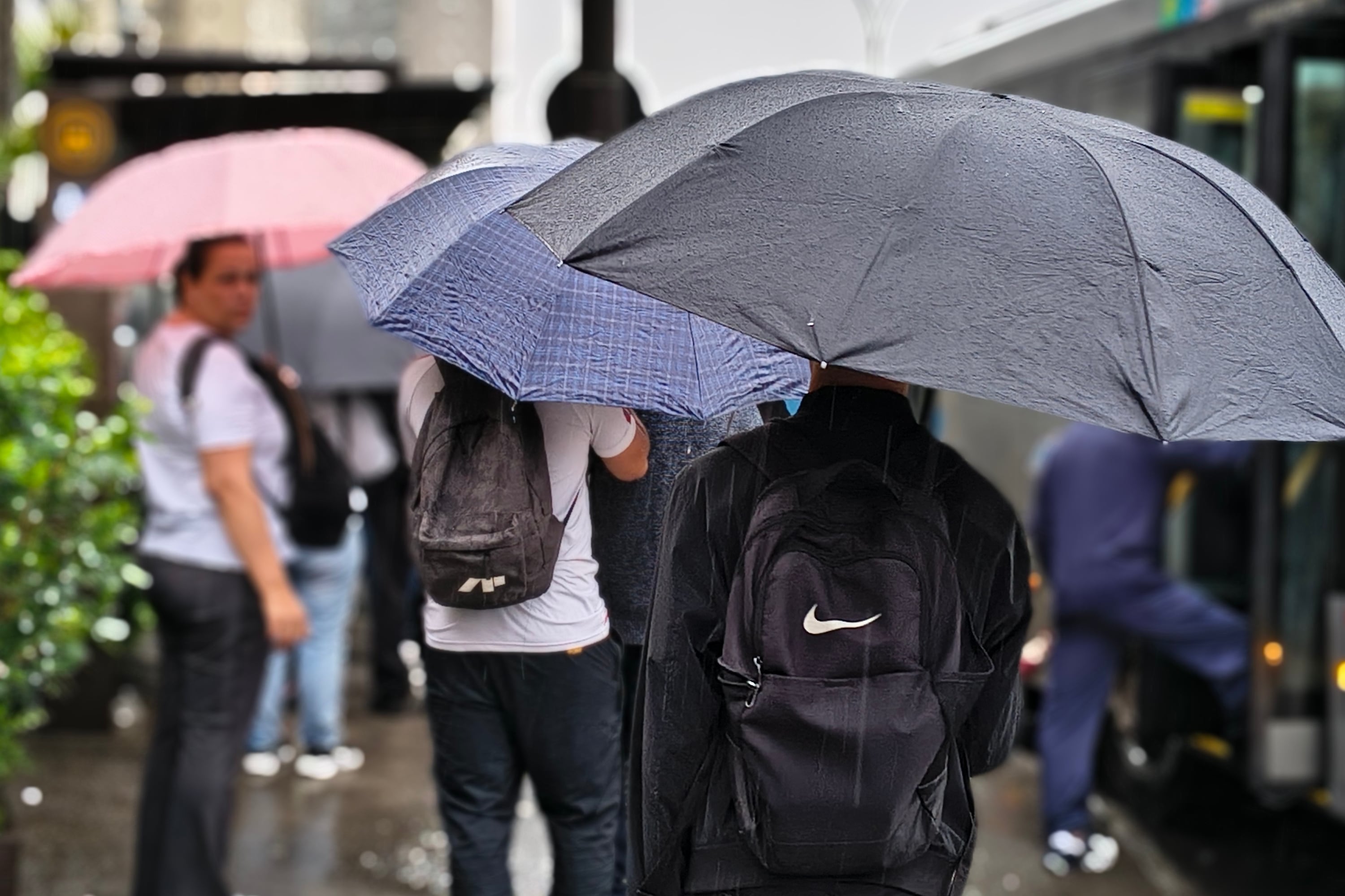 Primavera dos extremos e dos contrastes: o que esperar da estação com o super El Niño?