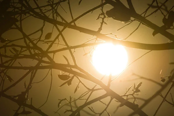 Brasil inicia a semana com calor intenso e alerta para tempestades no Sul