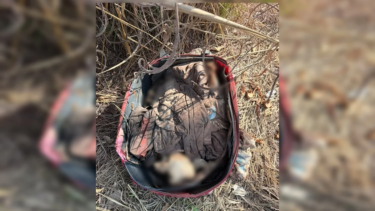 Ossada humana é encontrada em mala junto a relógio e camisa de time em GO
