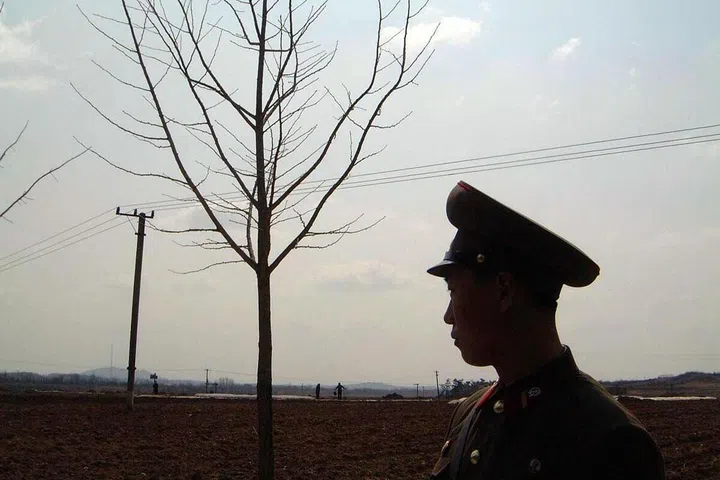 Contratador de TI norte-coreano encontra trabalho remoto na Nova Zelândia