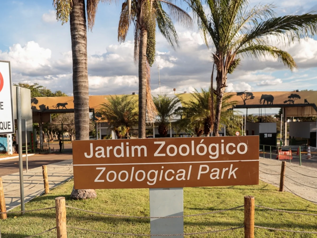 Zoo de Brasília terá ressarcimento para visitantes de dois programas