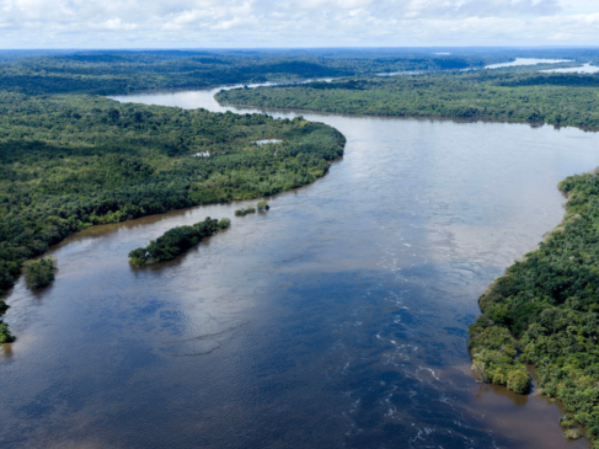 Combate às queimadas e pagamento por serviços: quais as propostas dos candidatos a presidente para o meio ambiente