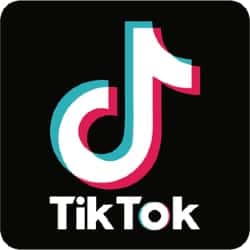 Imagem da matéria: Pesquisadores usam inteligência artificial para encontrar falhas no TikTok que permitiam acessar câmera e fotos