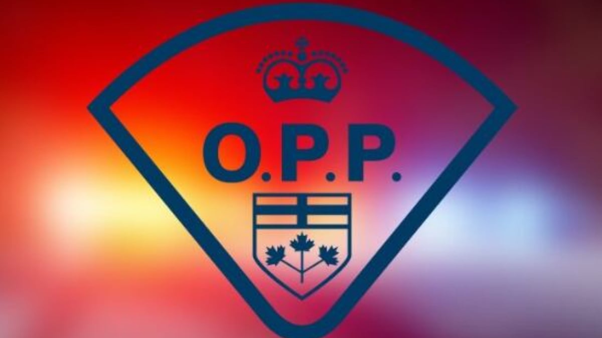 Swatting incident in Meaford draws large police presence