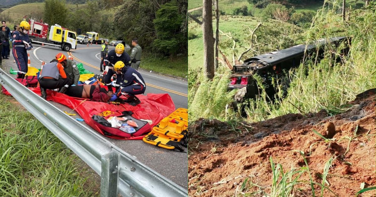 Ônibus com romeiros de Minas cai em ribanceira e deixa seis mortos em SP; motorista é preso
