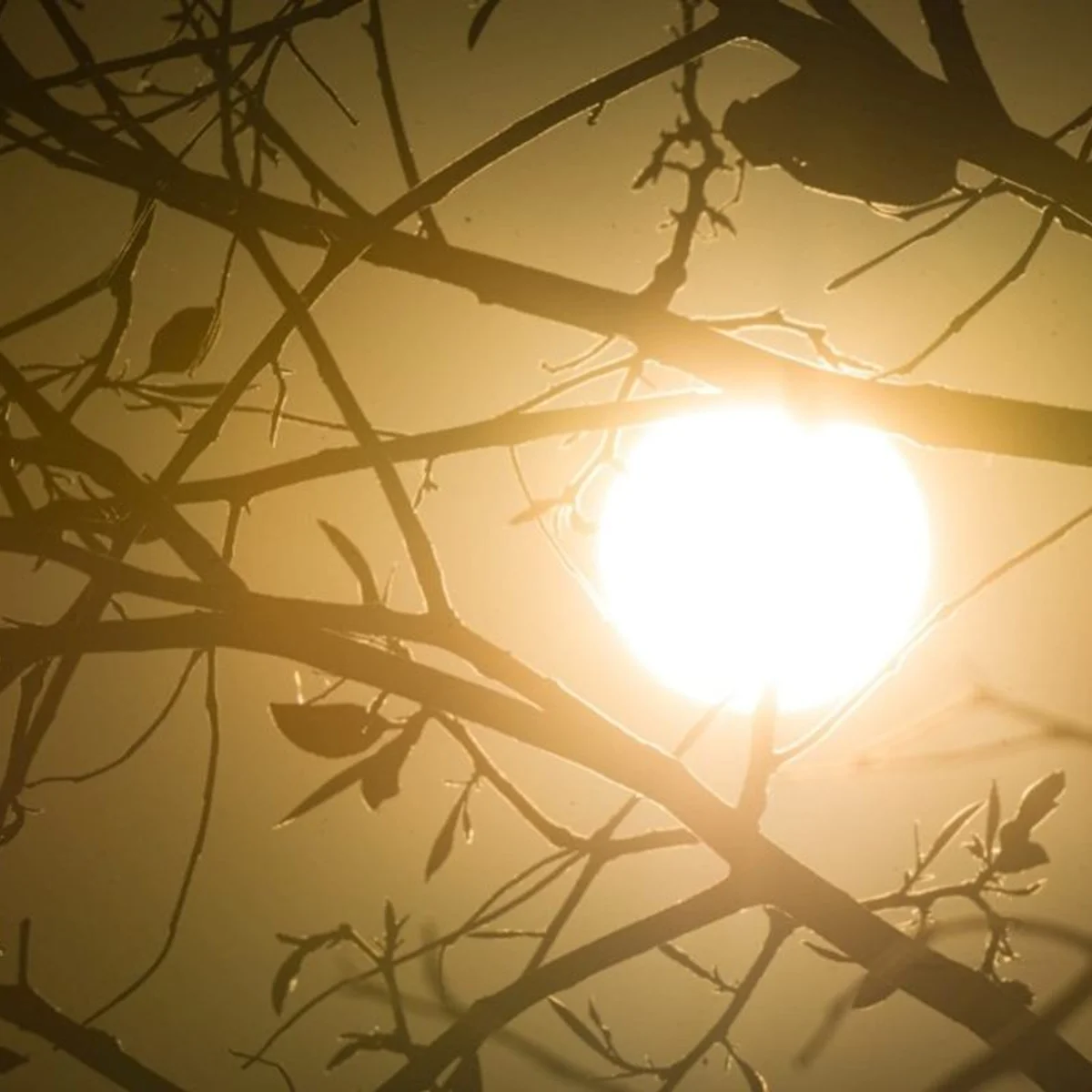 Brasil inicia a semana com calor intenso e alerta para tempestades no Sul