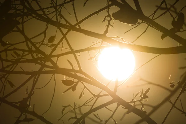 Onda de calor deixa 190 cidades de MG em alerta vermelho; veja lista