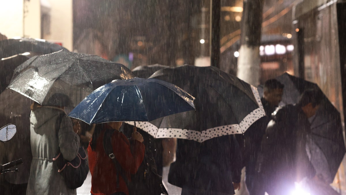Inmet emite alerta para tempestade, queda de granizo e ventos de 100 km/h em SP; veja até quando